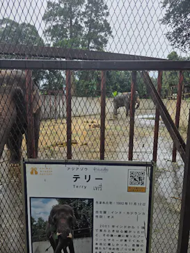ANIMAL WONDER REZOURT 市原ぞうの国・サユリワールドに投稿された画像（2026/8/29）