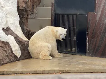 恩賜上野動物園に投稿された画像（2026/8/29）