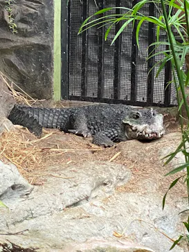 恩賜上野動物園に投稿された画像（2026/8/29）