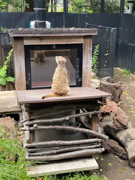 恩賜上野動物園に投稿された画像（2026/8/29）