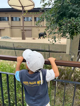 天王寺動物園に投稿された画像（2026/8/29）
