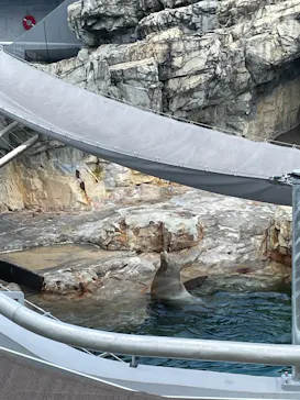 大分マリーンパレス水族館 「うみたまご」に投稿された画像（2026/8/29）