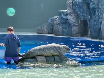 大分マリーンパレス水族館 「うみたまご」に投稿された画像（2026/8/29）