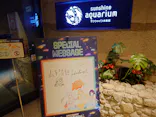 サンシャイン水族館に投稿された画像（2026/8/29）