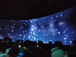 サンシャイン水族館に投稿された画像（2026/8/29）