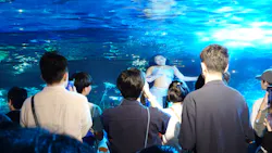 サンシャイン水族館に投稿された画像（2026/8/29）