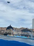 名古屋港水族館に投稿された画像（2026/8/29）