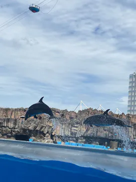 名古屋港水族館に投稿された画像（2026/8/29）