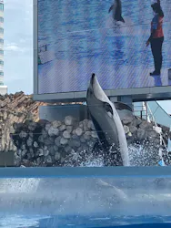 名古屋港水族館に投稿された画像（2026/8/29）