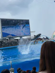 名古屋港水族館に投稿された画像（2026/8/29）