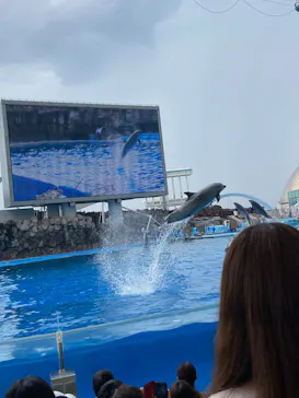 名古屋港水族館に投稿された画像（2026/8/29）