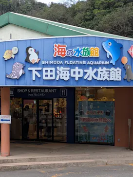 下田海中水族館に投稿された画像（2026/8/29）