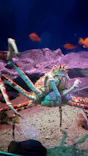 名古屋港水族館に投稿された画像（2026/8/29）