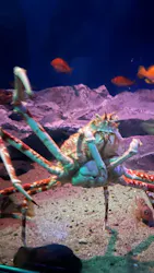 名古屋港水族館に投稿された画像（2026/8/29）