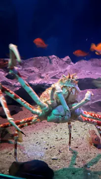 名古屋港水族館に投稿された画像（2026/8/29）