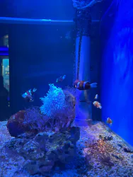 名古屋港水族館に投稿された画像（2026/8/29）