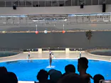 マリンワールド海の中道に投稿された画像（2026/8/29）