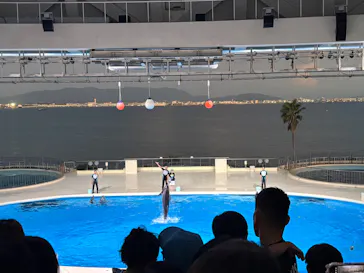 マリンワールド海の中道に投稿された画像（2026/8/29）