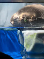 サンシャイン水族館に投稿された画像（2026/8/29）