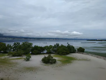滋賀県立琵琶湖博物館に投稿された画像（2026/8/29）