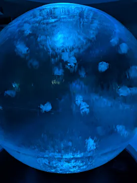 江の島シーキャンドル×新江ノ島水族館に投稿された画像（2026/8/29）