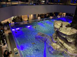 すみだ水族館に投稿された画像（2026/8/29）