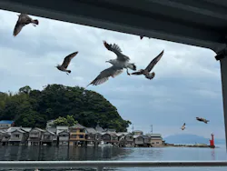 伊根湾めぐり遊覧船に投稿された画像（2026/8/29）