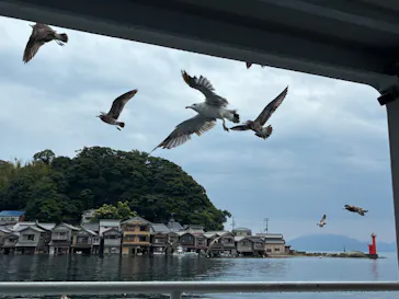 伊根湾めぐり遊覧船に投稿された画像（2026/8/29）