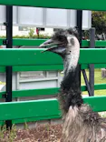 掛川花鳥園に投稿された画像（2026/8/29）