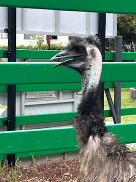 掛川花鳥園に投稿された画像（2026/8/29）