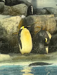 名古屋港水族館に投稿された画像（2026/8/29）