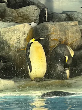 名古屋港水族館に投稿された画像（2026/8/29）
