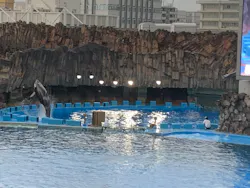 名古屋港水族館に投稿された画像（2026/8/29）