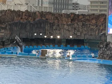 名古屋港水族館に投稿された画像（2026/8/29）