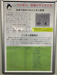 名古屋港水族館に投稿された画像（2026/8/29）