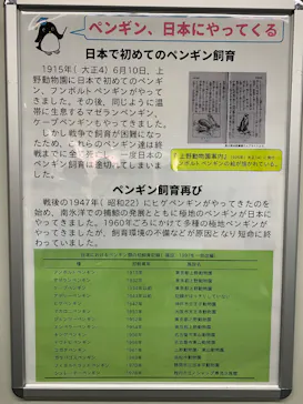 名古屋港水族館に投稿された画像（2026/8/29）