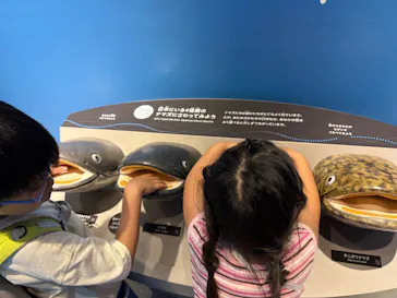 滋賀県立琵琶湖博物館に投稿された画像（2026/8/29）