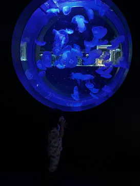 AOAO SAPPOROに投稿された画像（2026/8/29）