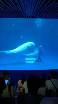 島根県立 しまね海洋館に投稿された画像（2026/8/29）
