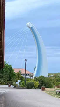 島根県立 しまね海洋館に投稿された画像（2026/8/29）
