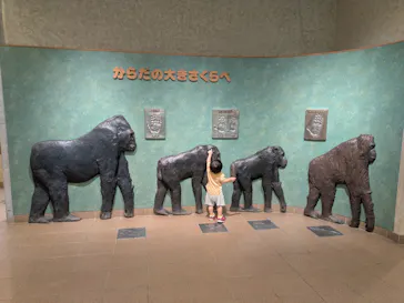 多摩動物公園に投稿された画像（2026/8/29）