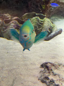 沖縄美ら海水族館に投稿された画像（2026/8/29）