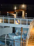アクアワールド茨城県大洗水族館に投稿された画像（2026/8/30）
