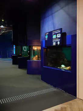 アクアワールド茨城県大洗水族館に投稿された画像（2026/8/29）