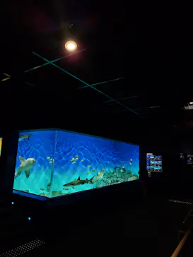 アクアワールド茨城県大洗水族館に投稿された画像（2026/8/29）