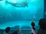 名古屋港水族館に投稿された画像（2026/8/30）