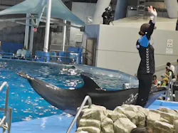 名古屋港水族館に投稿された画像（2026/8/30）