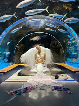 のとじま水族館に投稿された画像（2026/8/30）