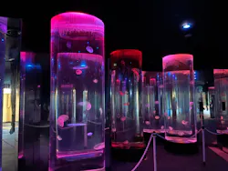 のとじま水族館に投稿された画像（2026/8/30）
