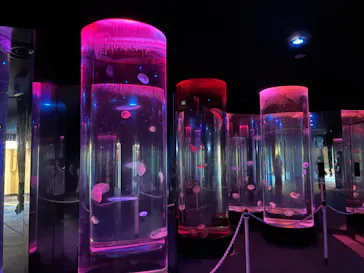 のとじま水族館に投稿された画像（2026/8/30）